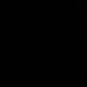 Meet your Posher, Isaiah